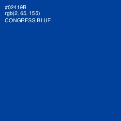 #02419B - Congress Blue Color Image