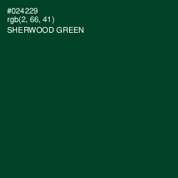 #024229 - Sherwood Green Color Image