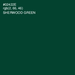 #02422E - Sherwood Green Color Image