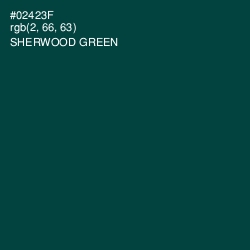 #02423F - Sherwood Green Color Image