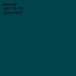 #02424B - Aqua Deep Color Image