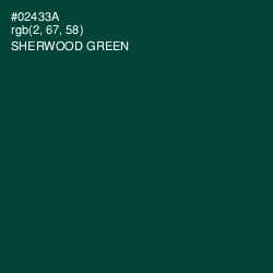 #02433A - Sherwood Green Color Image