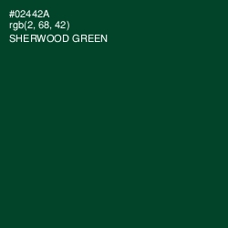 #02442A - Sherwood Green Color Image