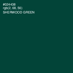 #024438 - Sherwood Green Color Image