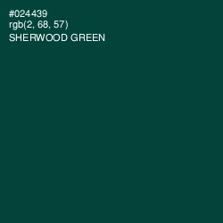 #024439 - Sherwood Green Color Image