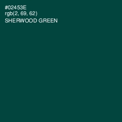 #02453E - Sherwood Green Color Image