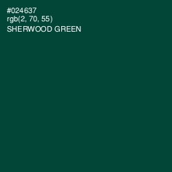 #024637 - Sherwood Green Color Image