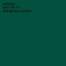 #02503D - Sherwood Green Color Image