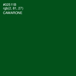 #02511B - Camarone Color Image