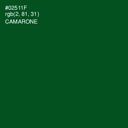 #02511F - Camarone Color Image