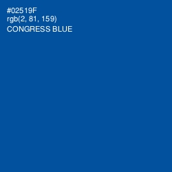 #02519F - Congress Blue Color Image