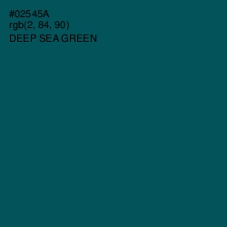 #02545A - Deep Sea Green Color Image