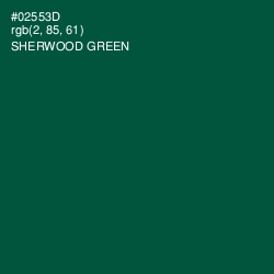 #02553D - Sherwood Green Color Image