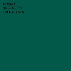 #02594A - Evening Sea Color Image