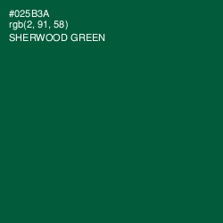 #025B3A - Sherwood Green Color Image