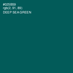 #025B59 - Deep Sea Green Color Image