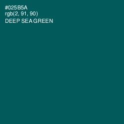 #025B5A - Deep Sea Green Color Image