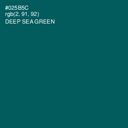 #025B5C - Deep Sea Green Color Image