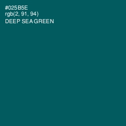 #025B5E - Deep Sea Green Color Image