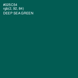 #025C54 - Deep Sea Green Color Image