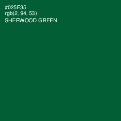 #025E35 - Sherwood Green Color Image