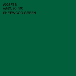 #025F3B - Sherwood Green Color Image