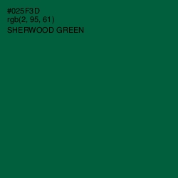 #025F3D - Sherwood Green Color Image