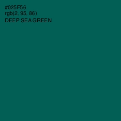 #025F56 - Deep Sea Green Color Image