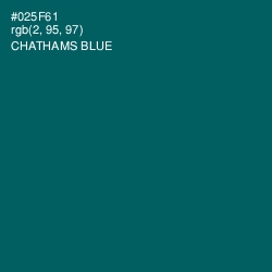 #025F61 - Chathams Blue Color Image