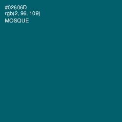 #02606D - Mosque Color Image