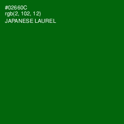 #02660C - Japanese Laurel Color Image