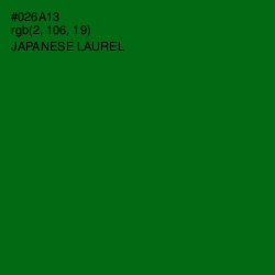 #026A13 - Japanese Laurel Color Image