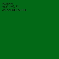 #026A16 - Japanese Laurel Color Image