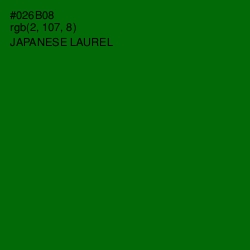 #026B08 - Japanese Laurel Color Image