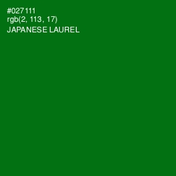 #027111 - Japanese Laurel Color Image