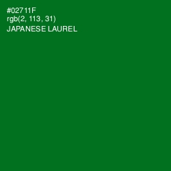 #02711F - Japanese Laurel Color Image