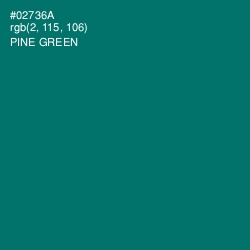 #02736A - Pine Green Color Image