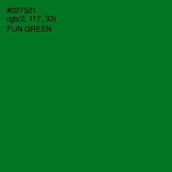 #027521 - Fun Green Color Image