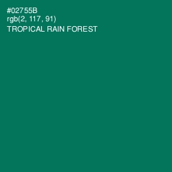 #02755B - Tropical Rain Forest Color Image