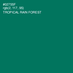 #02755F - Tropical Rain Forest Color Image