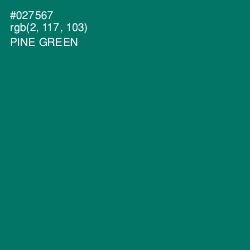 #027567 - Pine Green Color Image