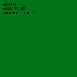 #027616 - Japanese Laurel Color Image