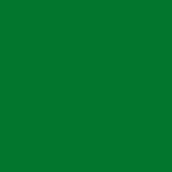 #02762C - Fun Green Color Image