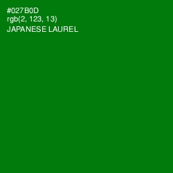 #027B0D - Japanese Laurel Color Image