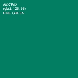 #027E62 - Pine Green Color Image