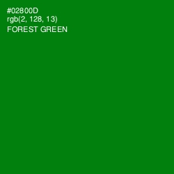 #02800D - Forest Green Color Image