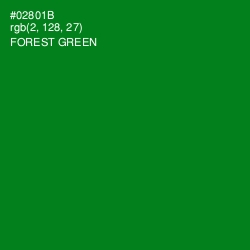 #02801B - Forest Green Color Image