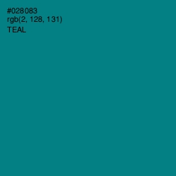 #028083 - Teal Color Image