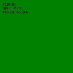 #028100 - Forest Green Color Image