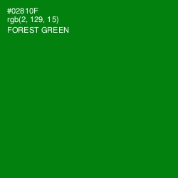 #02810F - Forest Green Color Image